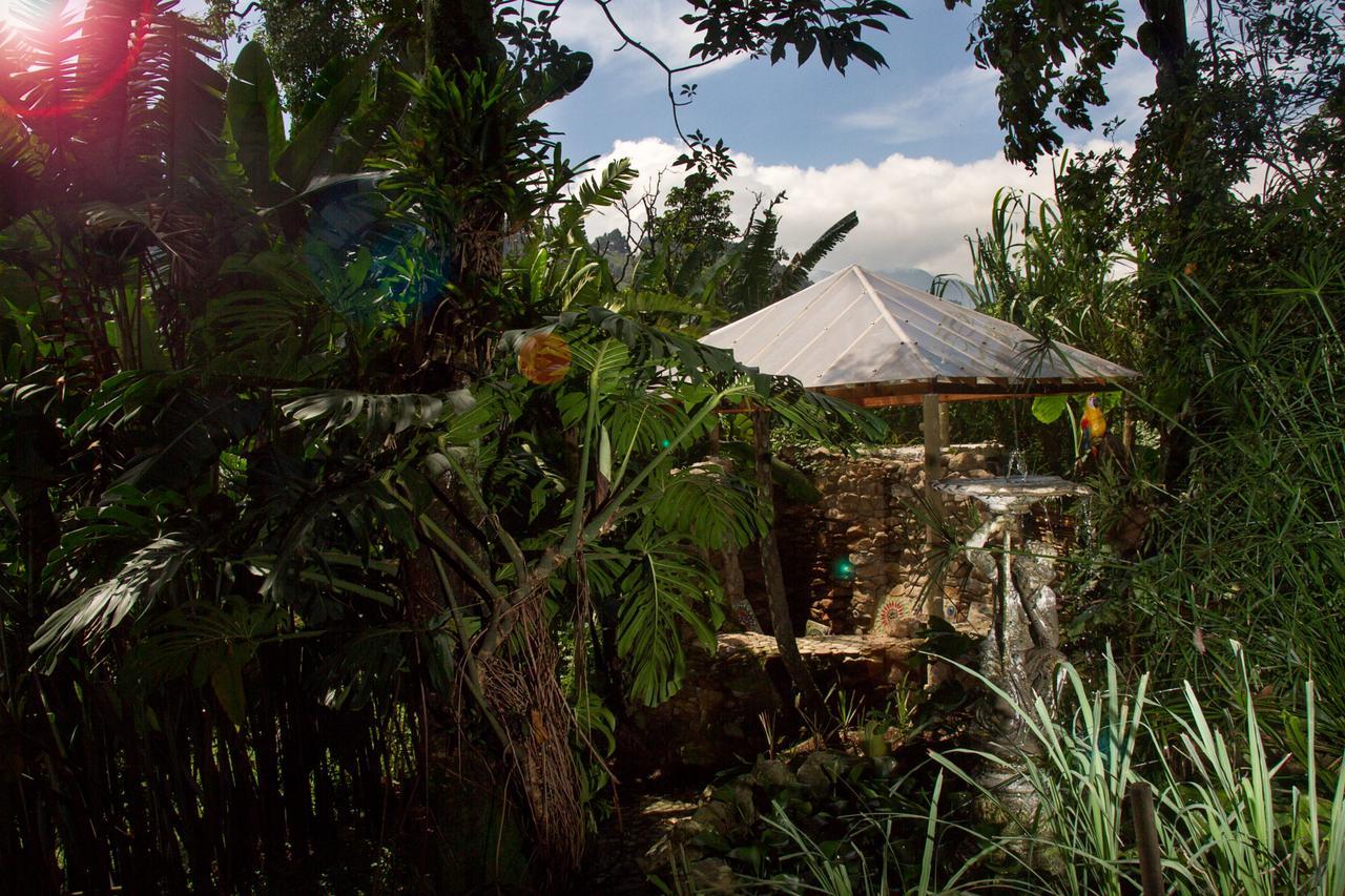 The Secret Buddha Villa Medellín Buitenkant foto