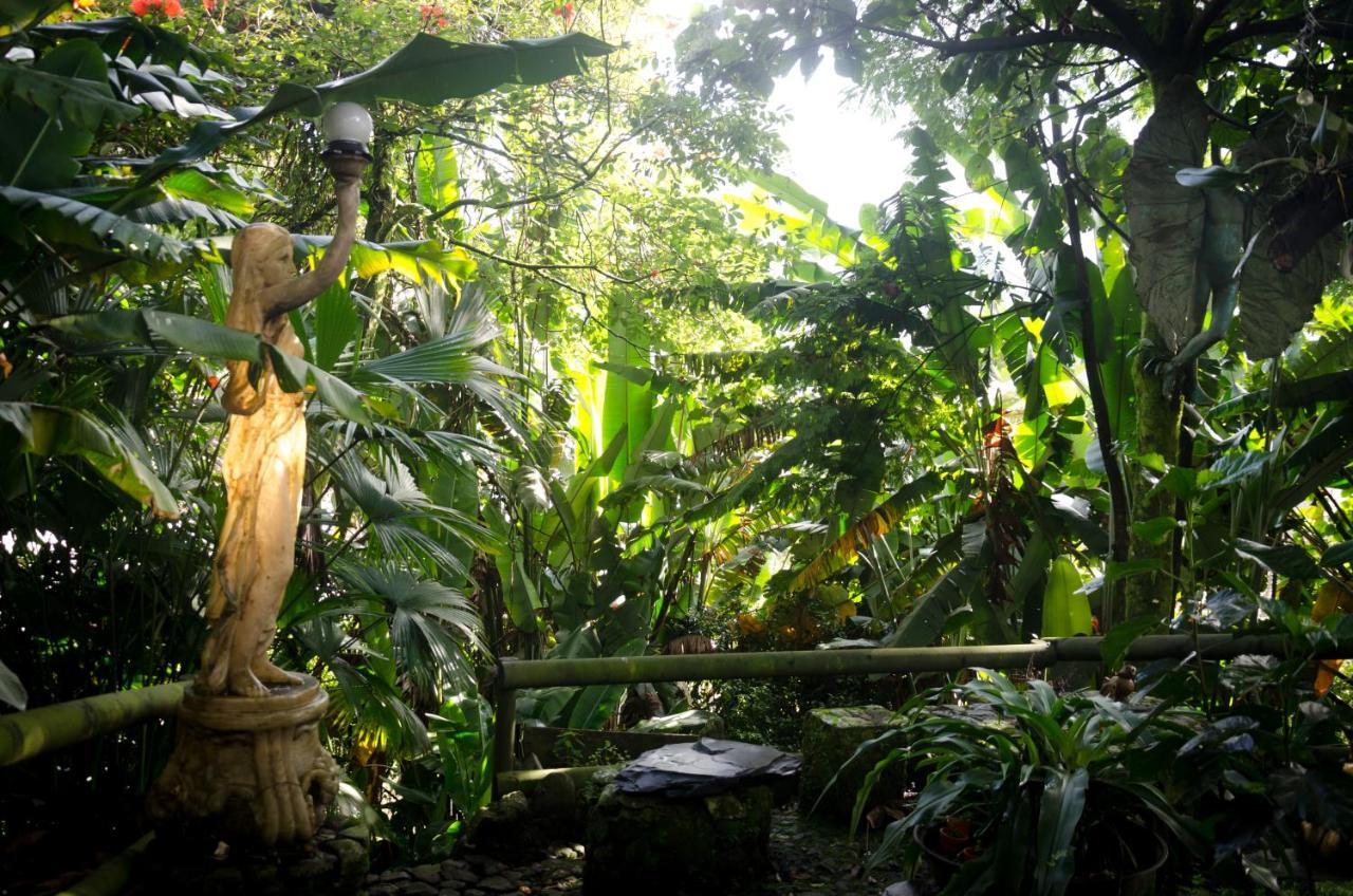 The Secret Buddha Villa Medellín Buitenkant foto