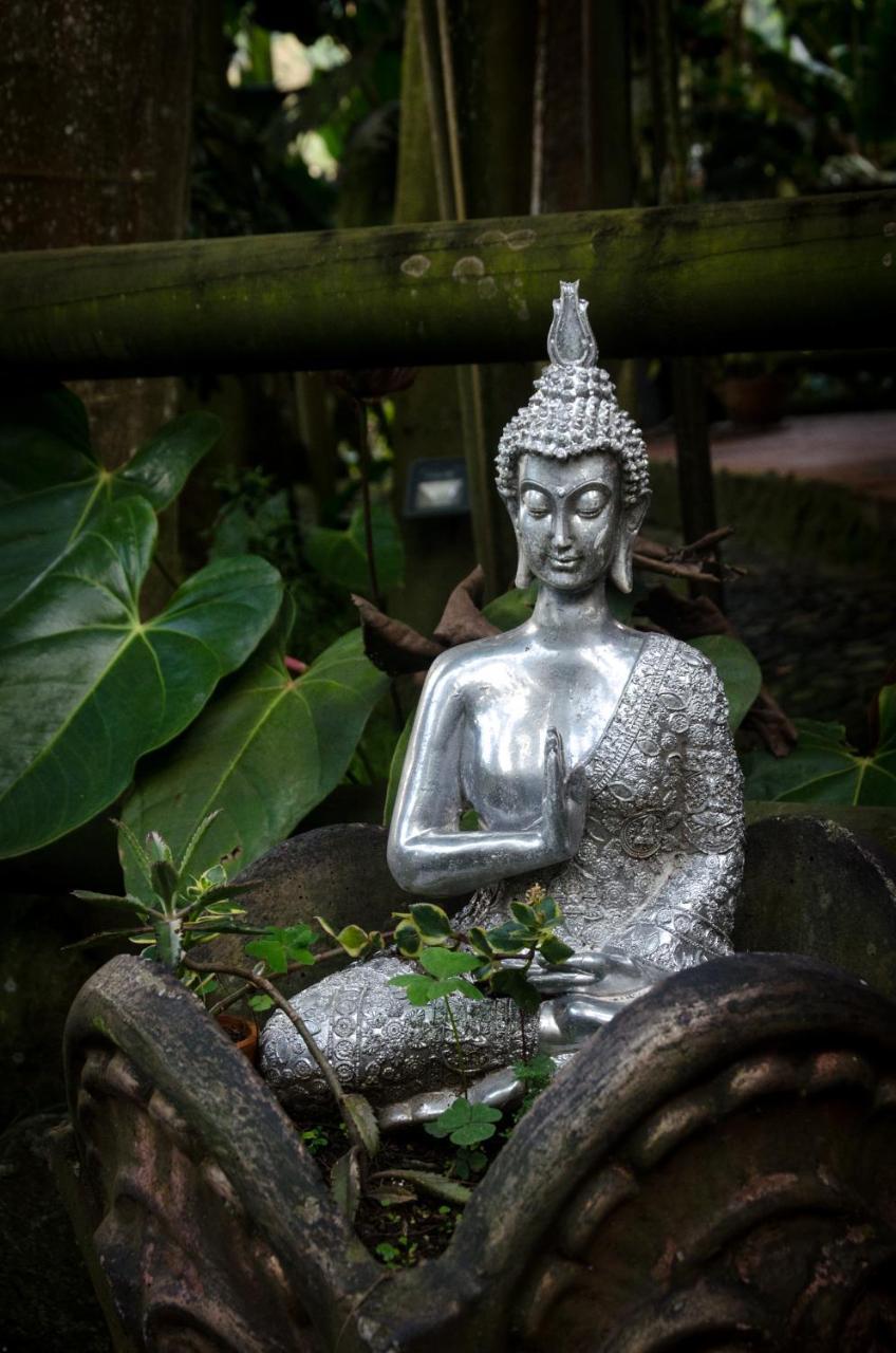 The Secret Buddha Villa Medellín Buitenkant foto