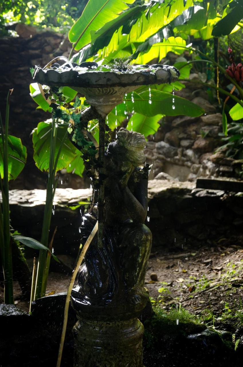 The Secret Buddha Villa Medellín Buitenkant foto